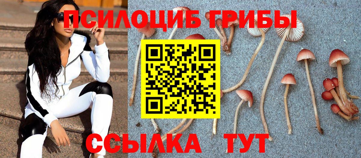 Псилоцибиновые грибы прущие грибы Бор