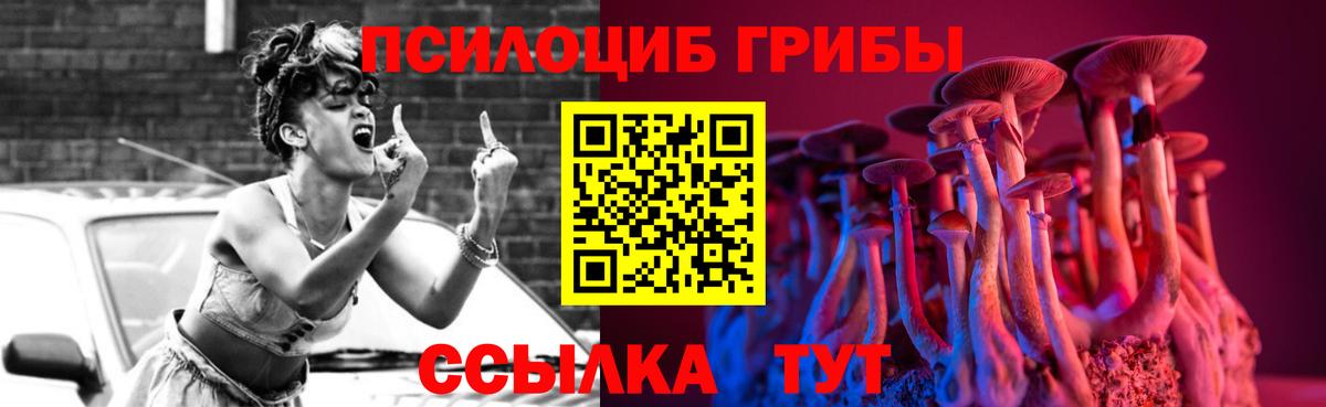 Псилоцибиновые грибы Psilocybe  Псилоцибиновые грибы GOLDEN TEACHER  Бор  Вход с VPN 
